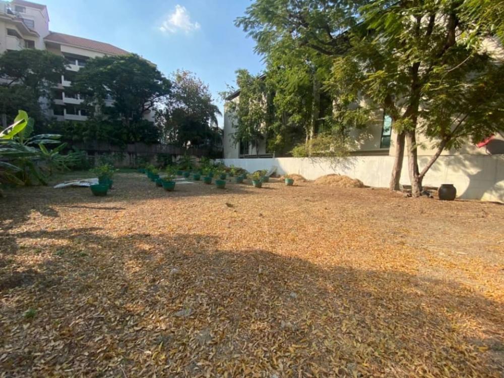 For RentLandSukhumvit, Asoke, Thonglor : Land for rent 2 jobs, Soi Ekkamai - Sukhumvit 63, suitable: restaurant, cafe, bar and karaoke, Japanese restaurant, Thai restaurant, northeastern restaurant, seafood restaurant