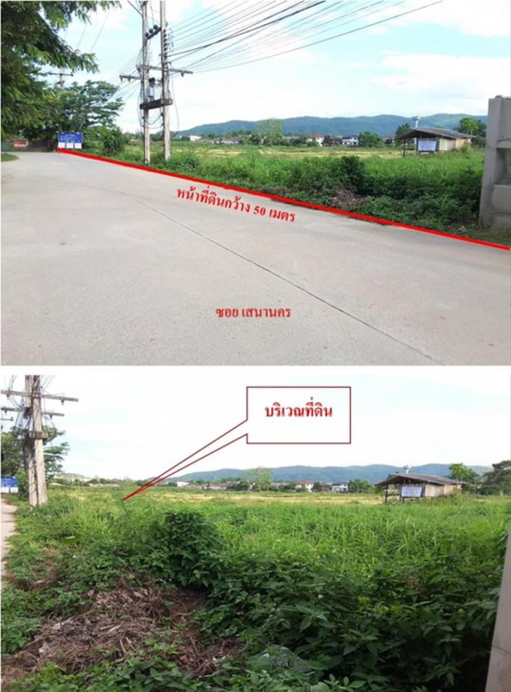 ขายที่ดินเชียงราย : ขายที่ดินศักยภาพสูง จังหวัดเชียงราย 