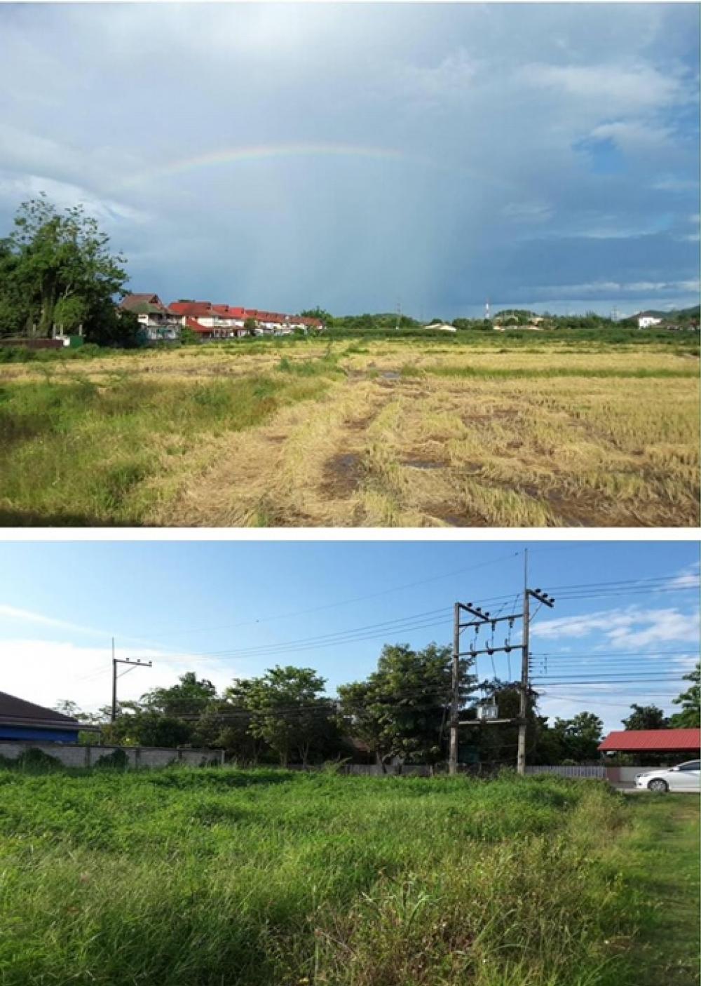 ขายที่ดินเชียงราย : ขายที่ดินศักยภาพสูง จังหวัดเชียงราย 