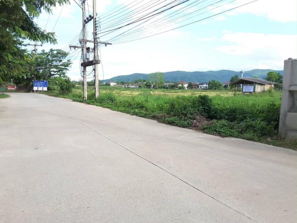 ขายที่ดินเชียงราย : ขายที่ดินศักยภาพสูง จังหวัดเชียงราย 