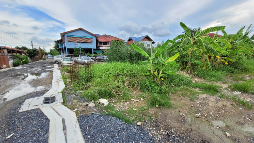 For SaleLandChaengwatana, Muangthong : Land for sale, Bang Phut Subdistrict, Pak Kret District, Nonthaburi Province, 2 adjacent plots, easy access, near major
