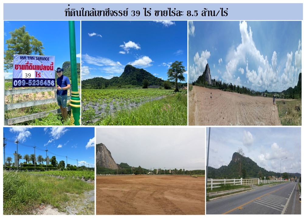 ขายที่ดินพัทยา บางแสน ชลบุรี สัตหีบ : ขายที่ดิน 39 ไร่ ใกล้เขาชีจรรย์ ชลบุรี ที่ดินถมแล้ว ติดถนน พื้นที่สวย ติดแหล่งท่องเที่ยวหลายแห่ง ทำเลทอง สนใจติดต่อด่วน 099-523-6456