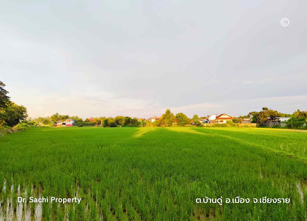 ขายที่ดินเชียงราย : ขายถูกที่ดินสวยทำเลดี ใกล้ ถ.บายพาสตะวันออก เพียง 1 กม. สนามบินเชียงราย (13-2-50.3 ไร่ )