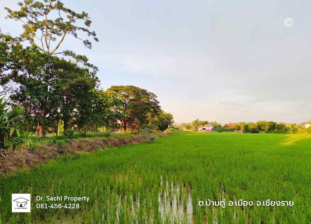 ขายที่ดินเชียงราย : ขายถูกที่ดินสวยทำเลดี ใกล้ ถ.บายพาสตะวันออก เพียง 1 กม. สนามบินเชียงราย (13-2-50.3 ไร่ )