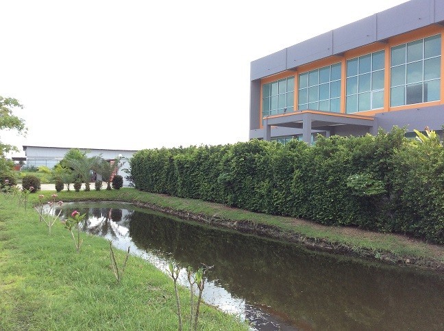 ขายโรงงานลาดกระบัง สุวรรณภูมิ : ขายโรงงานสำเร็จรูป+สำนักงาน พร้อม ที่ดิน 3 ไร่ ติดโครงข่ายระบบโลจิสติกส์สุวรรณภูมิ