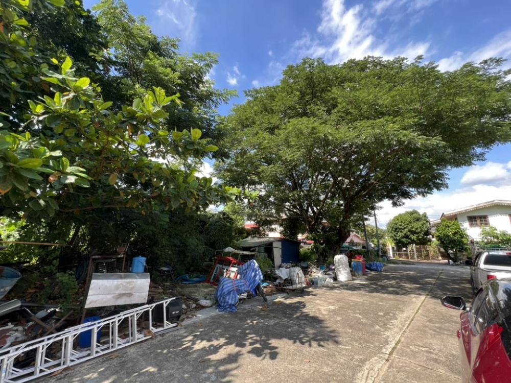 For SaleLandPinklao, Charansanitwong : Land area 178 square wah, P. Phasuk Village, Taling Chan, located in Soi Phasuk 2, enter the alley 800 meters.
