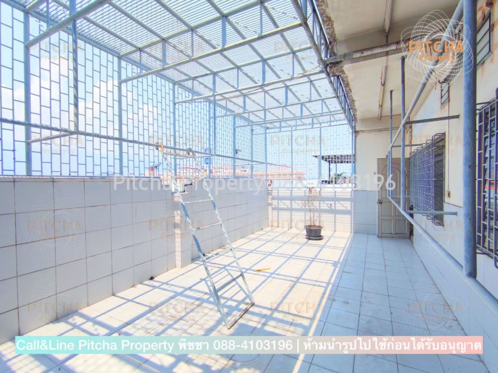 ขายอาคารพาณิชย์เชียงใหม่ : ขายอาคารพาณิชย์ ติด ถ.ช้างเผือก ย่าน CBD เหมาะทำธุรกิจ จ.เชียงใหม่