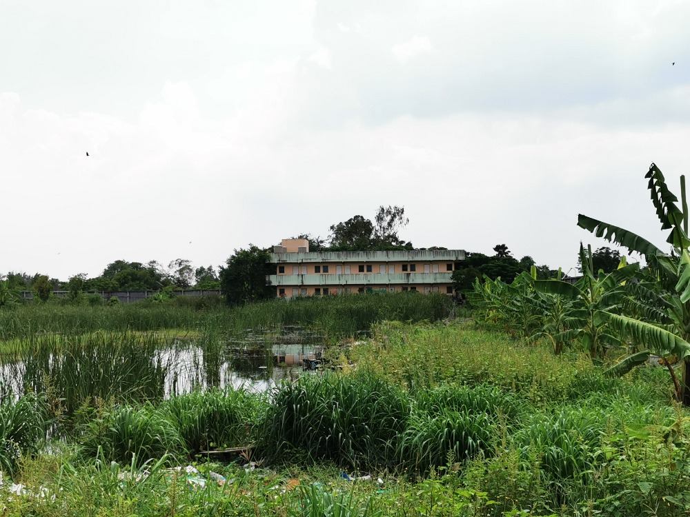 For SaleWarehousePathum Thani,Rangsit, Thammasat : Large warehouse with office and retail space for sale!