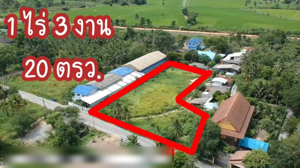 For SaleLandNakhon Pathom : Quick sale, land to build a house in Ngew Rai Subdistrict.