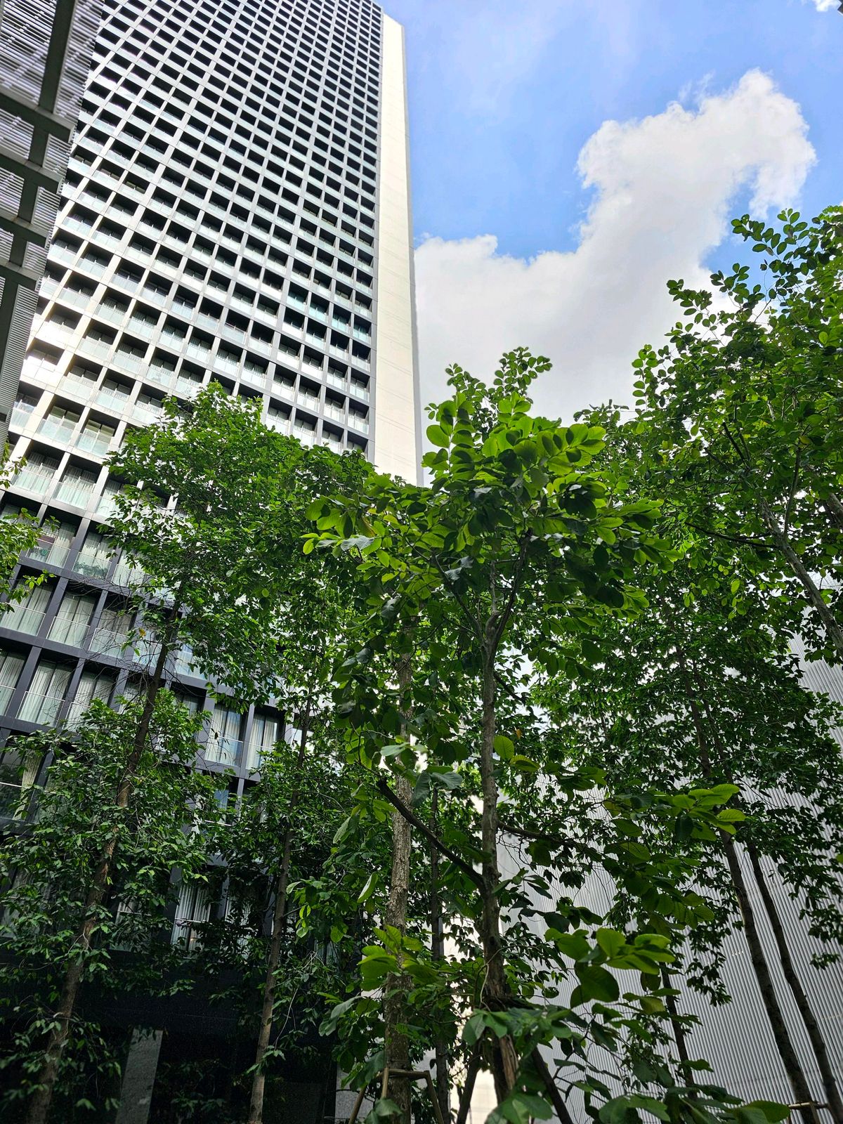 ขายคอนโดวิทยุ ชิดลม หลังสวน : ขายโนเบิล เพลินจิต 2 bed  ชั้น 20 ขนาด 82 ตร.ม วิวโล่ง
