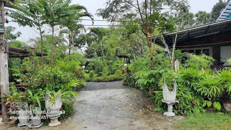 ขายร้านค้า/ตลาดนัดเชียงใหม่ : ขายที่ดิน พร้อมร้านอาหาร ขนาด 1 ไร่ 2 งาน 85 ตารางวา ตำบลสันโป่ง อำเภอแม่ริม จังหวัดเชียงใหม่