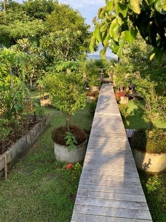 ขายร้านค้า/ตลาดนัดเชียงใหม่ : ขายที่ดิน พร้อมร้านอาหาร ขนาด 1 ไร่ 2 งาน 85 ตารางวา ตำบลสันโป่ง อำเภอแม่ริม จังหวัดเชียงใหม่