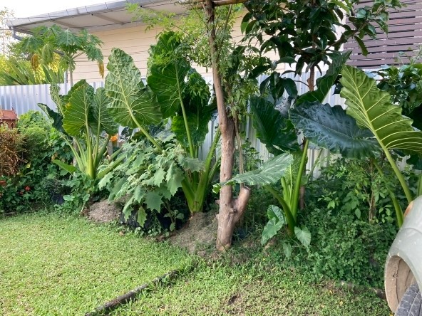 ขายร้านค้า/ตลาดนัดเชียงใหม่ : ขายที่ดิน พร้อมร้านอาหาร ขนาด 1 ไร่ 2 งาน 85 ตารางวา ตำบลสันโป่ง อำเภอแม่ริม จังหวัดเชียงใหม่