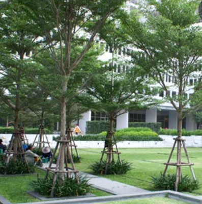 ให้เช่าคอนโดราชเทวี พญาไท : Villa Ratchataewee 55 sq.m. Eng 中 日 Please add LINE ID @806qphgn o8415o5483 Rental Price 21,999 B Sell 8.5 MB