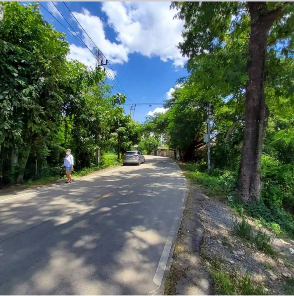 ขายที่ดินนนทบุรี บางใหญ่ บางบัวทอง : ขายที่ดินเปล่า 694 ตรว. ติดหมู่บ้านใหญ่ ไทรม้า ท่าอิฐซอย 3 นนทบุรี