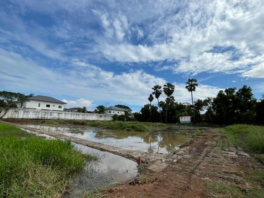 ขายที่ดินนนทบุรี บางใหญ่ บางบัวทอง : ขายที่ดินเปล่า 694 ตรว. ติดหมู่บ้านใหญ่ ไทรม้า ท่าอิฐซอย 3 นนทบุรี