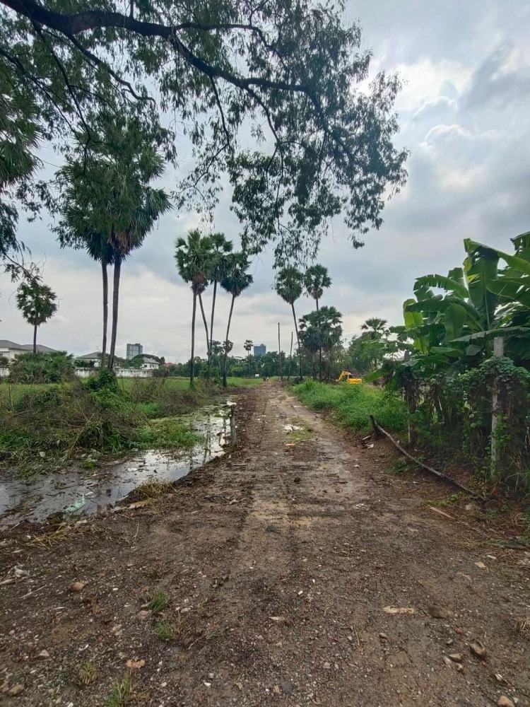 ขายที่ดินนนทบุรี บางใหญ่ บางบัวทอง : ขายที่ดินเปล่า 694 ตรว. ติดหมู่บ้านใหญ่ ไทรม้า ท่าอิฐซอย 3 นนทบุรี