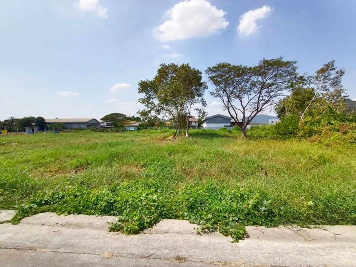 For SaleLandMin Buri, Romklao : Land 2 rai in Nongchok near Suwinthawong Road For Sale