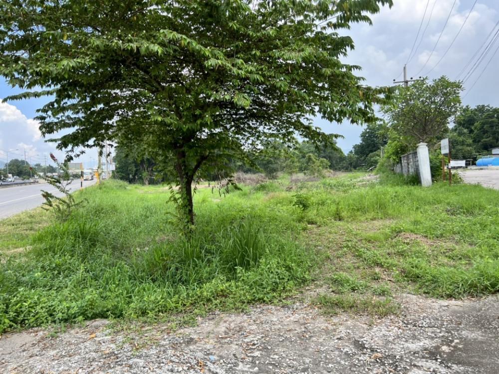 ขายที่ดินสระบุรี : ขายที่ดิน อ.แก่งคอย จ.สระบุรี ติดถนนมิตรภาพ ฝั่งขาเข้ากรุงเทพ