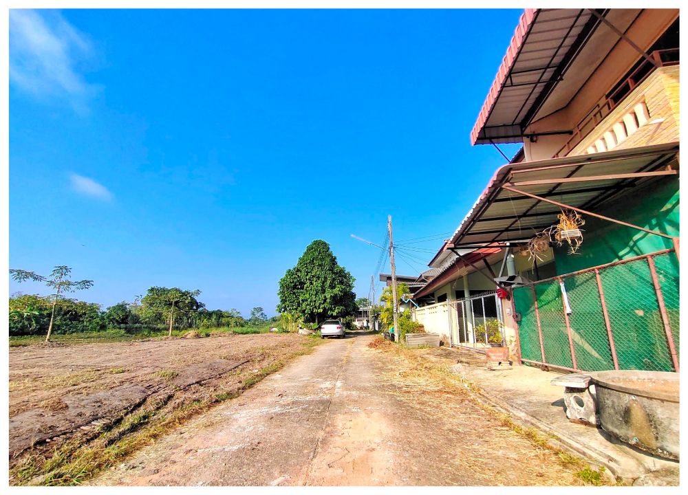 ขายบ้านเชียงราย : ขาย/เช่า บ้านหลังใหญ่ 2 ชั้น (5 ห้องนอน 4 ห้องน้ำ) ม.ออมสิน จ.เชียงราย