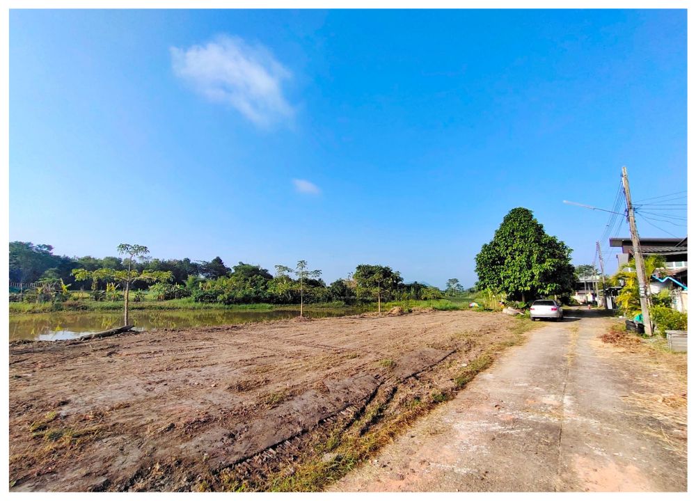 ขายบ้านเชียงราย : ขาย/เช่า บ้านหลังใหญ่ 2 ชั้น (5 ห้องนอน 4 ห้องน้ำ) ม.ออมสิน จ.เชียงราย