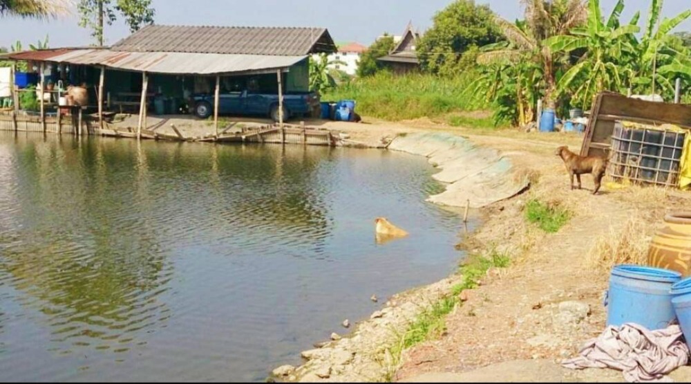 For SaleLandLadkrabang, Suwannaphum Airport : Land for sale, Lat Krabang, Khum Klao Road, Lam Pla Tiw, near Suvarnabhumi Airport, 6.5 million baht per rai.