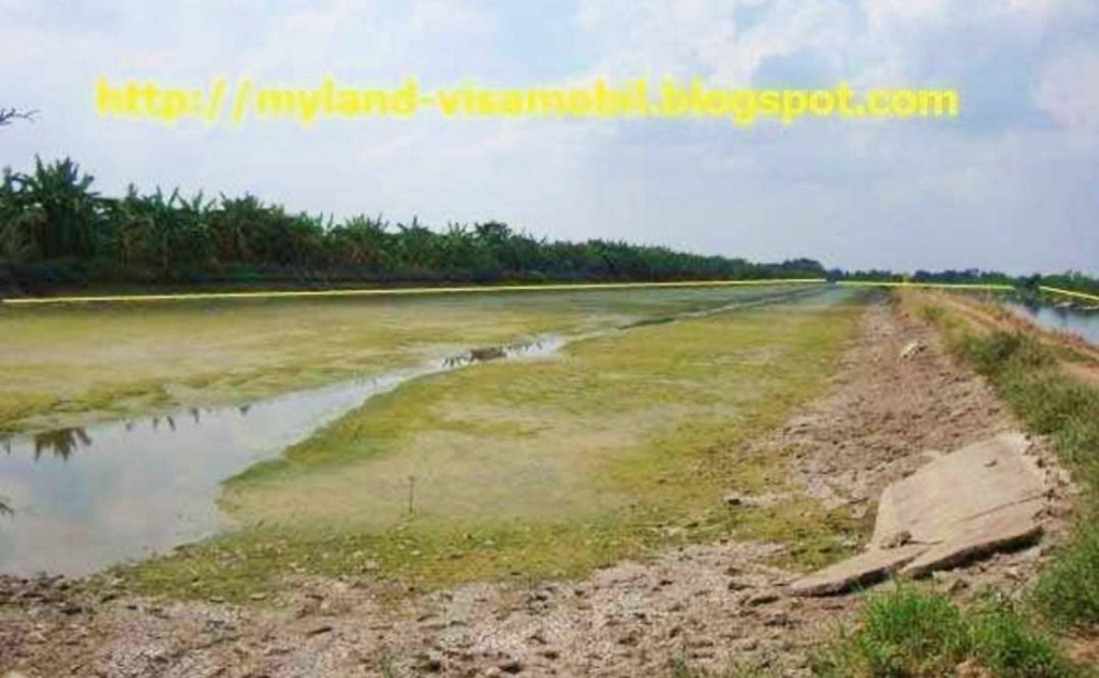 For SaleLandLadkrabang, Suwannaphum Airport : Land for sale, Lat Krabang, Khum Klao Road, Lam Pla Tiw, near Suvarnabhumi Airport, 6.5 million baht per rai.