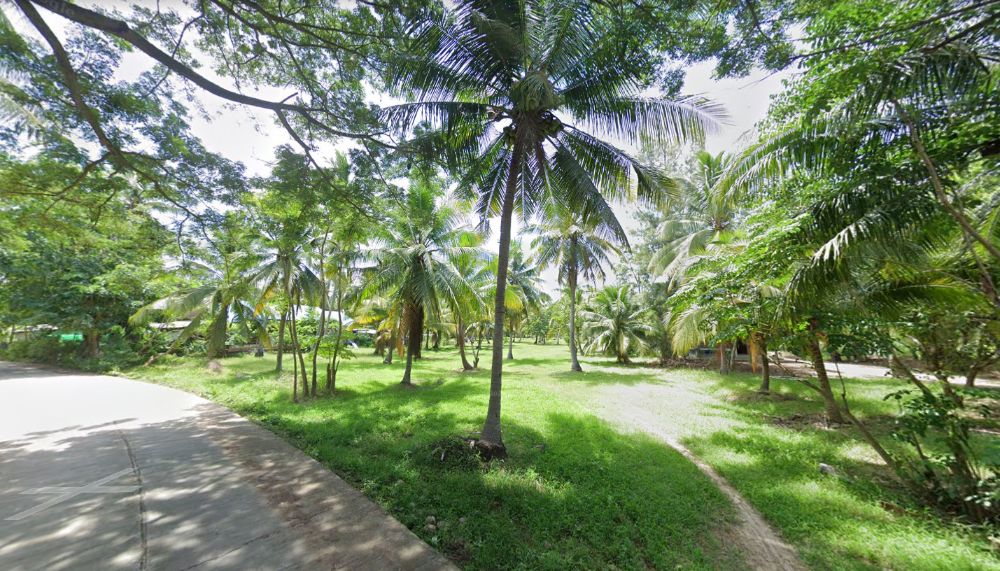 For SaleLandHuahin, Prachuap Khiri Khan, Pran Buri : Beautiful plot of land for sale near the sea. Prachuap Khiri Khan Getting in and out comfortably Not far from amenities