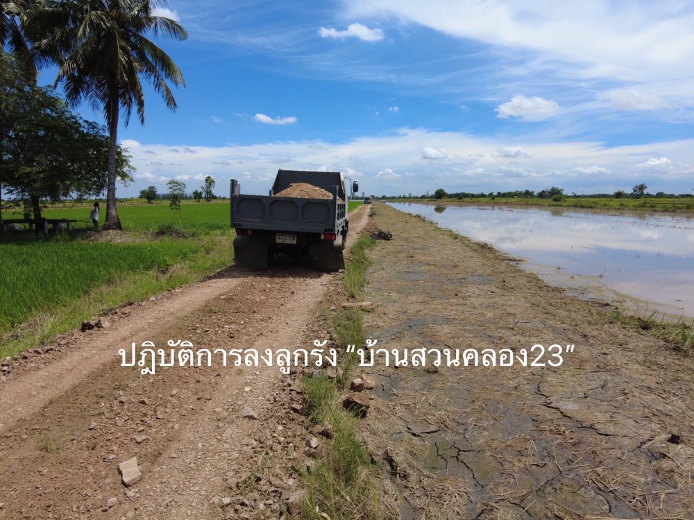 ขายที่ดินนครนายก : 🌟 เจ้าของขายเอง ไม่เเพง ขายที่ดินแปลงสวย ประปาไฟฟ้าพร้อม เหมาะไว้ปลูกบ้านสวนวิวทุ่งนา ใกล้คาเฟ่ชื่อดัง พิกัด: คลอง23 นครนายก ขนาด 200 ตารางวา  เพียง 🌟 520,000 บาท ติดต่อ 0954935293 จอย (เจ้าของโดยตรง) 🌟