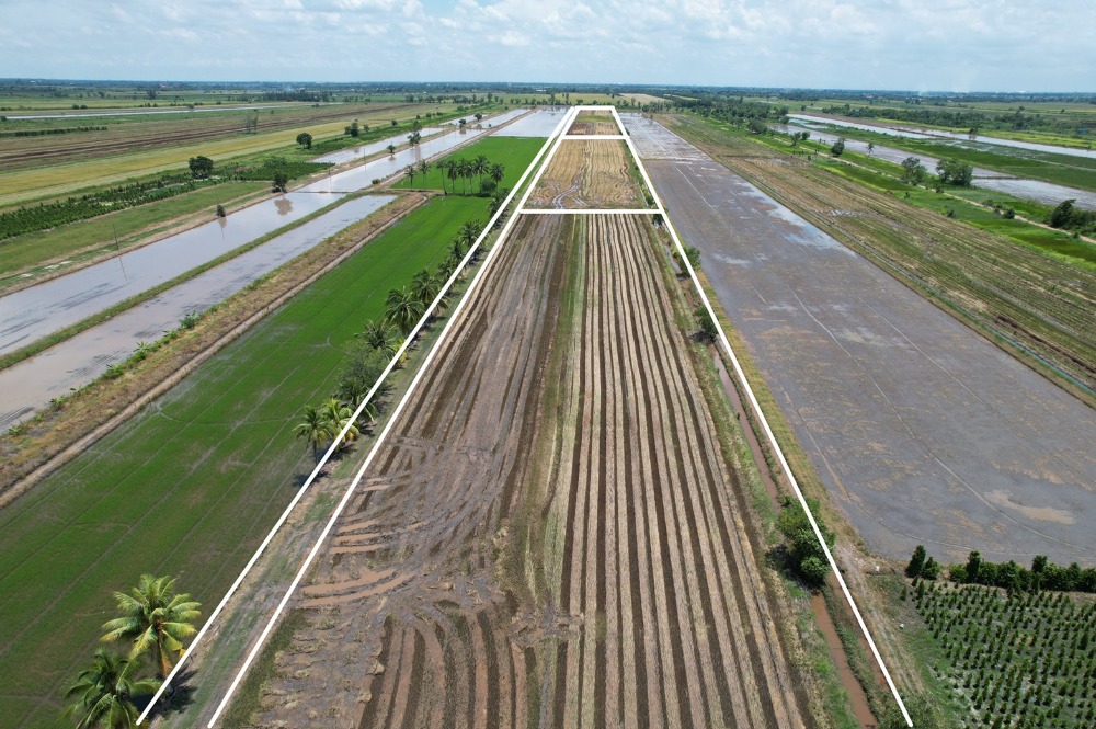 ขายที่ดินนครนายก : 🌟 เจ้าของขายเอง ไม่เเพง ขายที่ดินแปลงสวย ประปาไฟฟ้าพร้อม เหมาะไว้ปลูกบ้านสวนวิวทุ่งนา ใกล้คาเฟ่ชื่อดัง พิกัด: คลอง23 นครนายก ขนาด 200 ตารางวา  เพียง 🌟 520,000 บาท ติดต่อ 0954935293 จอย (เจ้าของโดยตรง) 🌟