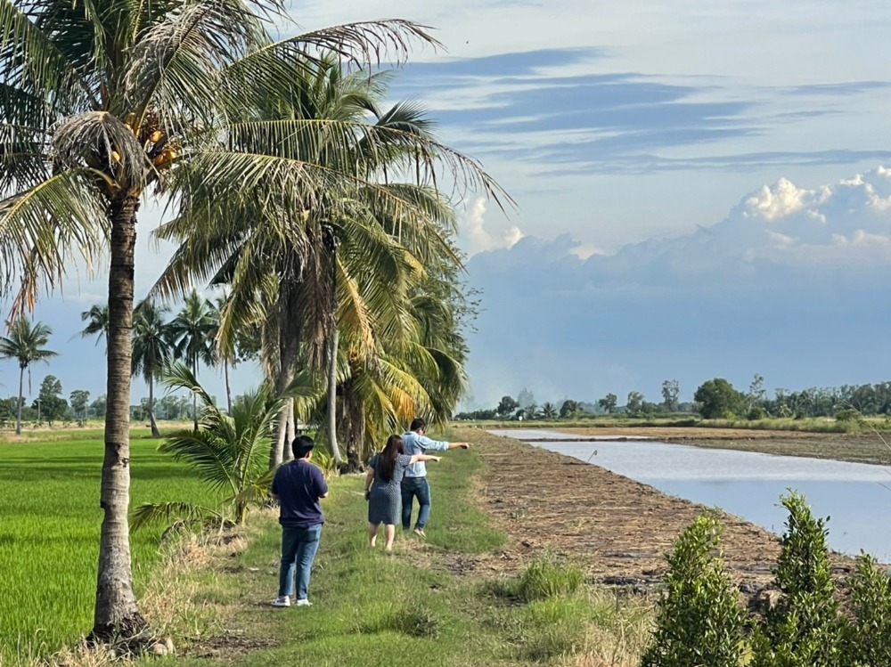 ขายที่ดินนครนายก : 🌟 เจ้าของขายเอง ไม่เเพง ขายที่ดินแปลงสวย ประปาไฟฟ้าพร้อม เหมาะไว้ปลูกบ้านสวนวิวทุ่งนา ใกล้คาเฟ่ชื่อดัง พิกัด: คลอง23 นครนายก ขนาด 200 ตารางวา  เพียง 🌟 520,000 บาท ติดต่อ 0954935293 จอย (เจ้าของโดยตรง) 🌟