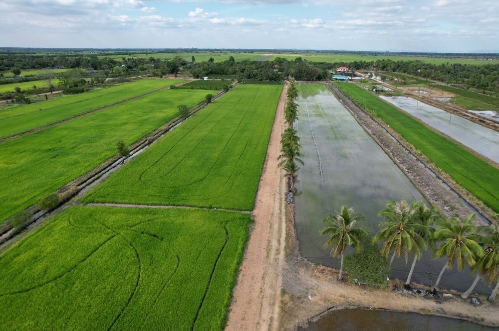 ขายที่ดินนครนายก : 🌟 เจ้าของขายเอง ไม่เเพง ขายที่ดินแปลงสวย ประปาไฟฟ้าพร้อม เหมาะไว้ปลูกบ้านสวนวิวทุ่งนา ใกล้คาเฟ่ชื่อดัง พิกัด: คลอง23 นครนายก ขนาด 200 ตารางวา  เพียง 🌟 520,000 บาท ติดต่อ 0954935293 จอย (เจ้าของโดยตรง) 🌟