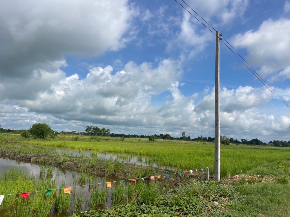 ขายที่ดินนครนายก : 🌟 เจ้าของขายเอง ไม่เเพง ขายที่ดินแปลงสวย ประปาไฟฟ้าพร้อม เหมาะไว้ปลูกบ้านสวนวิวทุ่งนา ใกล้คาเฟ่ชื่อดัง พิกัด: คลอง23 นครนายก ขนาด 200 ตารางวา  เพียง 🌟 520,000 บาท ติดต่อ 0954935293 จอย (เจ้าของโดยตรง) 🌟