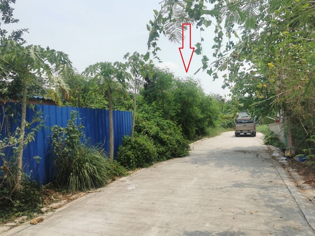 ขายที่ดินปทุมธานี รังสิต ธรรมศาสตร์ : ขายที่ดินเปล่า 166 ตรว. หน้ากว้าง 35 เมตร ใกล้ อบต.บางเดื่อ ถนนวัดไพร่ฟ้า ปทุมธานี เหมาะปลูกบ้านพัก