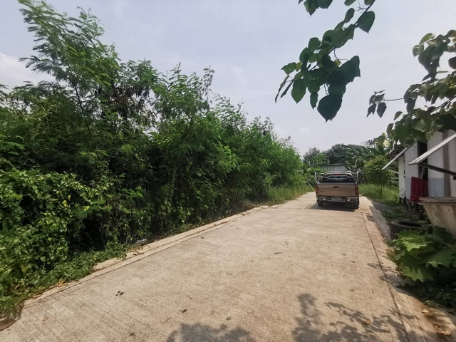 ขายที่ดินปทุมธานี รังสิต ธรรมศาสตร์ : ขายที่ดินเปล่า 166 ตรว. หน้ากว้าง 35 เมตร ใกล้ อบต.บางเดื่อ ถนนวัดไพร่ฟ้า ปทุมธานี เหมาะปลูกบ้านพัก