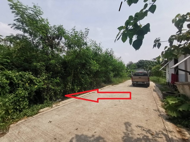 ขายที่ดินปทุมธานี รังสิต ธรรมศาสตร์ : ขายที่ดินเปล่า 166 ตรว. หน้ากว้าง 35 เมตร ใกล้ อบต.บางเดื่อ ถนนวัดไพร่ฟ้า ปทุมธานี เหมาะปลูกบ้านพัก