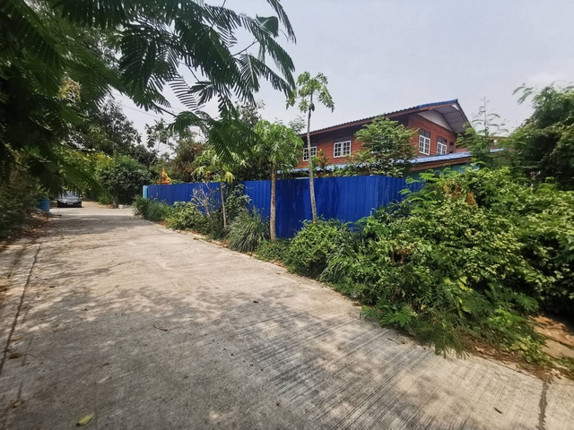 ขายที่ดินปทุมธานี รังสิต ธรรมศาสตร์ : ขายที่ดินเปล่า 166 ตรว. หน้ากว้าง 35 เมตร ใกล้ อบต.บางเดื่อ ถนนวัดไพร่ฟ้า ปทุมธานี เหมาะปลูกบ้านพัก