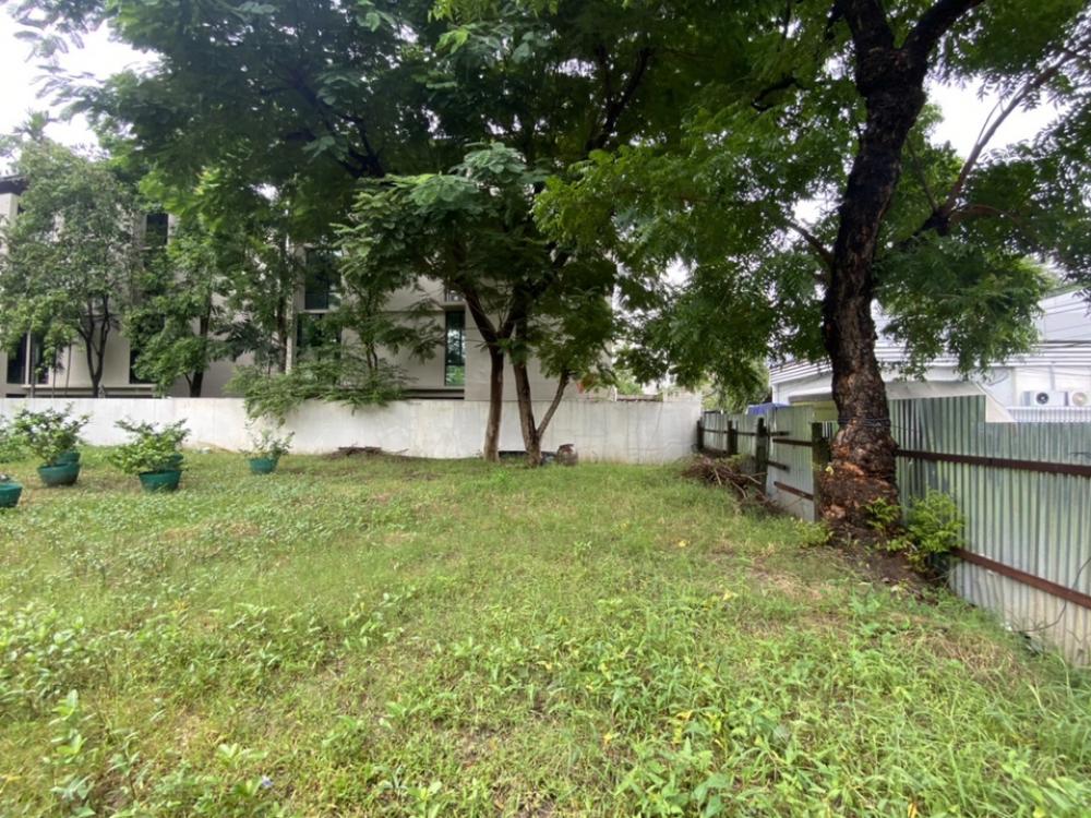 For RentLandSukhumvit, Asoke, Thonglor : Land for rent 2 ngan, Soi Ekamai, good location, suitable for making a restaurant.