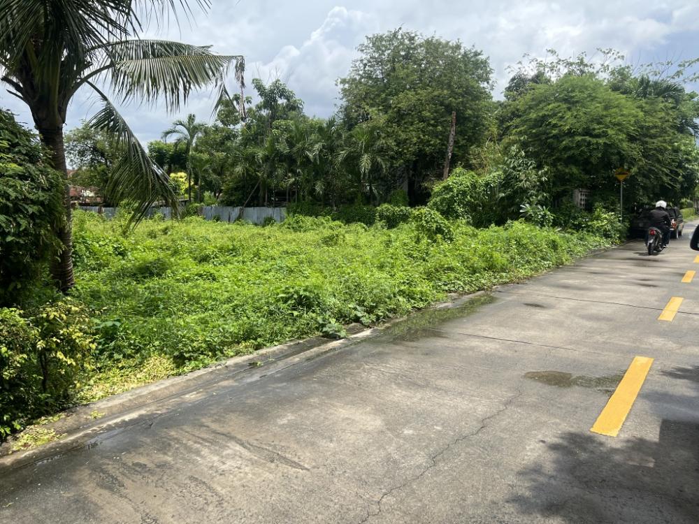 ขายที่ดินรัตนาธิเบศร์ สนามบินน้ำ พระนั่งเกล้า : ที่ดินซอย นนทบุรี 42 ซอยตรงข้าม สำนักงานสลากกินแบ่งรัฐบาล