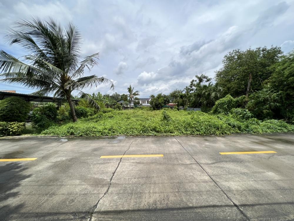 ขายที่ดินรัตนาธิเบศร์ สนามบินน้ำ พระนั่งเกล้า : ที่ดินซอย นนทบุรี 42 ซอยตรงข้าม สำนักงานสลากกินแบ่งรัฐบาล