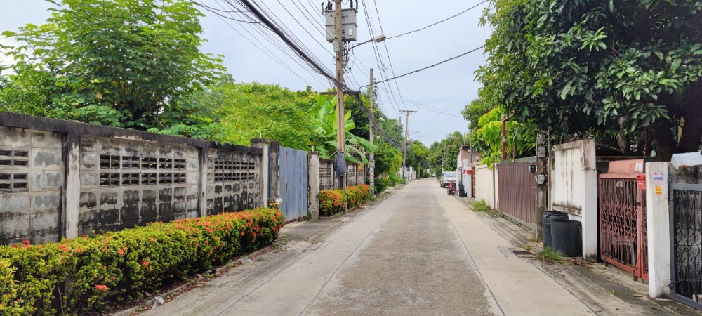 ขายที่ดินโชคชัย4 ลาดพร้าว71 : ขาย ที่ดิน 383 ตร.วา ลาดพร้าว 37 หน้ากว้าง เดินทางสะดวก ใกล้ ถ.ลาดพร้าว และ BTS