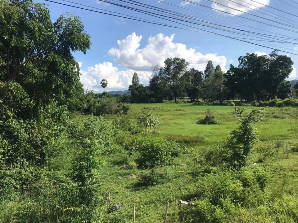 ขายที่ดินกาญจนบุรี : ขายที่ดินติดถนน ท่าม่วง กาญจนบุรี ขนาด 35 ไร่ แปลงสวย ติดถนน 324