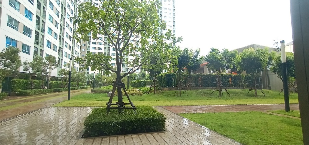For SaleCondoBang kae, Phetkasem : Condo for sale, Lumpini Park Petchkasem 98, special price, one room only! Condo near The Mall Bang Khae, near MRT Lak Song, next to the main road, 1 bedroom, size 26.50 square meters, private corner room, pool view, convenient transportation Petchkasem, P