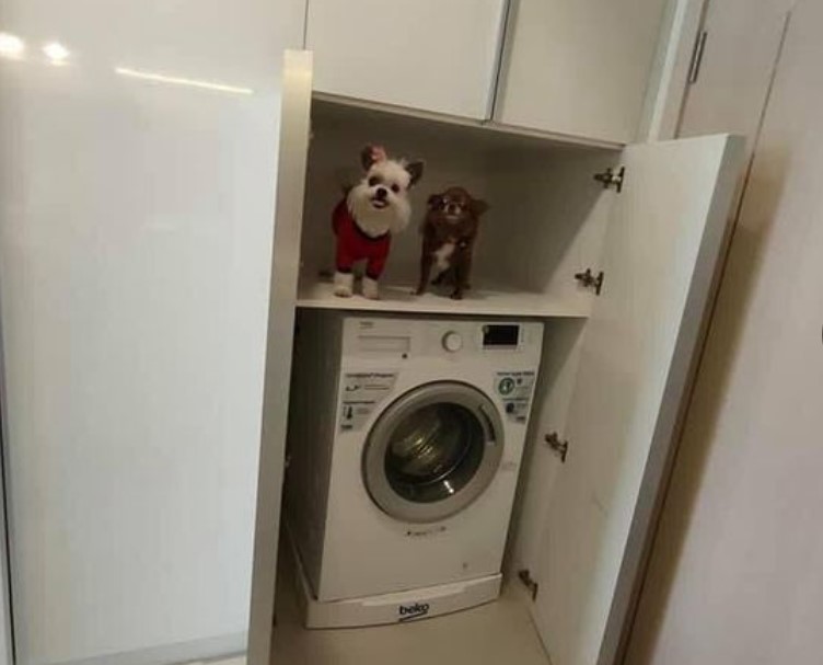 ให้เช่าคอนโดราชเทวี พญาไท : Maestro 14 Eng 中 日 Please add LINE ID @806qphgn o8415o5483 Sell & rent