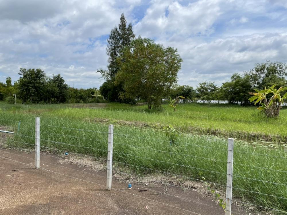For SaleLandPathum Thani,Rangsit, Thammasat : Divided for sale land 1 rai of land Total 1.25 million Rangsit Nakhon Nayok Khlong 14