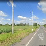 ขายที่ดินโคราช นครราชสีมา : ขายที่ดินติดถนน ไร่ละล้าน 24 ไร่ ตำบลกฤษณา อำเภอสีคิ้ว จังหวัดนครราชสีมา (โคราช)