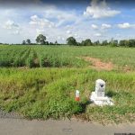 ขายที่ดินโคราช นครราชสีมา : ขายที่ดินติดถนน ไร่ละล้าน 24 ไร่ ตำบลกฤษณา อำเภอสีคิ้ว จังหวัดนครราชสีมา (โคราช)