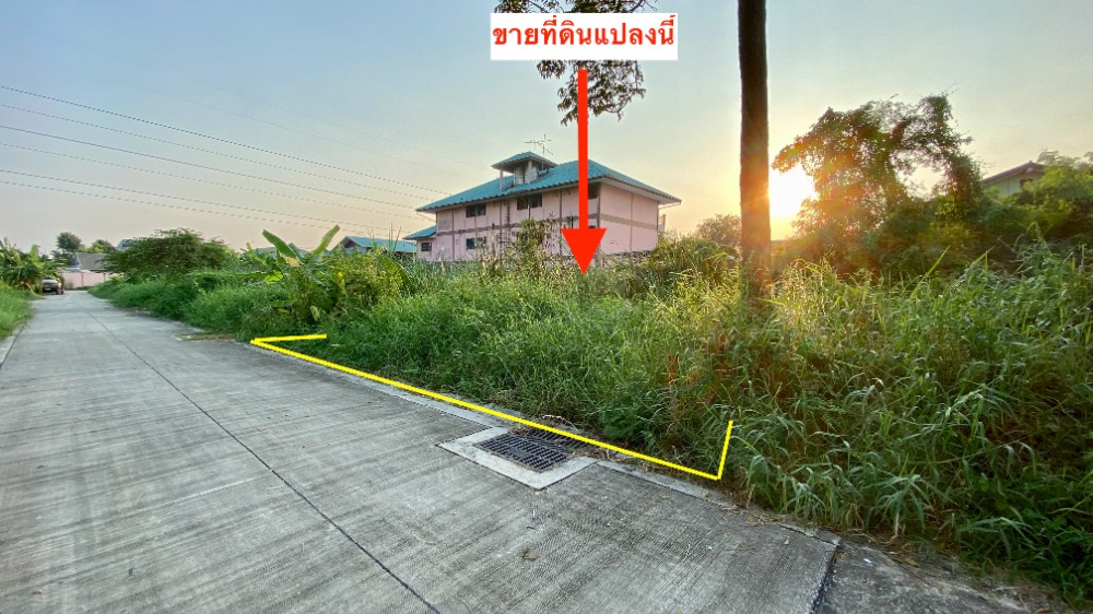 ขายที่ดินมหาชัย สมุทรสาคร : ขายที่ดินถนนเศรษฐกิจ 1 ซอย 3, กระทุ่มแบน สมุทรสาคร 93 ตารางวา ราคาดี ผังสีม่วง