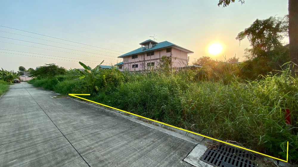 ขายที่ดินมหาชัย สมุทรสาคร : ขายที่ดินถนนเศรษฐกิจ 1 ซอย 3, กระทุ่มแบน สมุทรสาคร 93 ตารางวา ราคาดี ผังสีม่วง