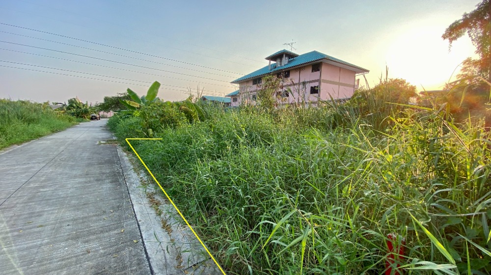 ขายที่ดินมหาชัย สมุทรสาคร : ขายที่ดินถนนเศรษฐกิจ 1 ซอย 3, กระทุ่มแบน สมุทรสาคร 93 ตารางวา ราคาดี ผังสีม่วง